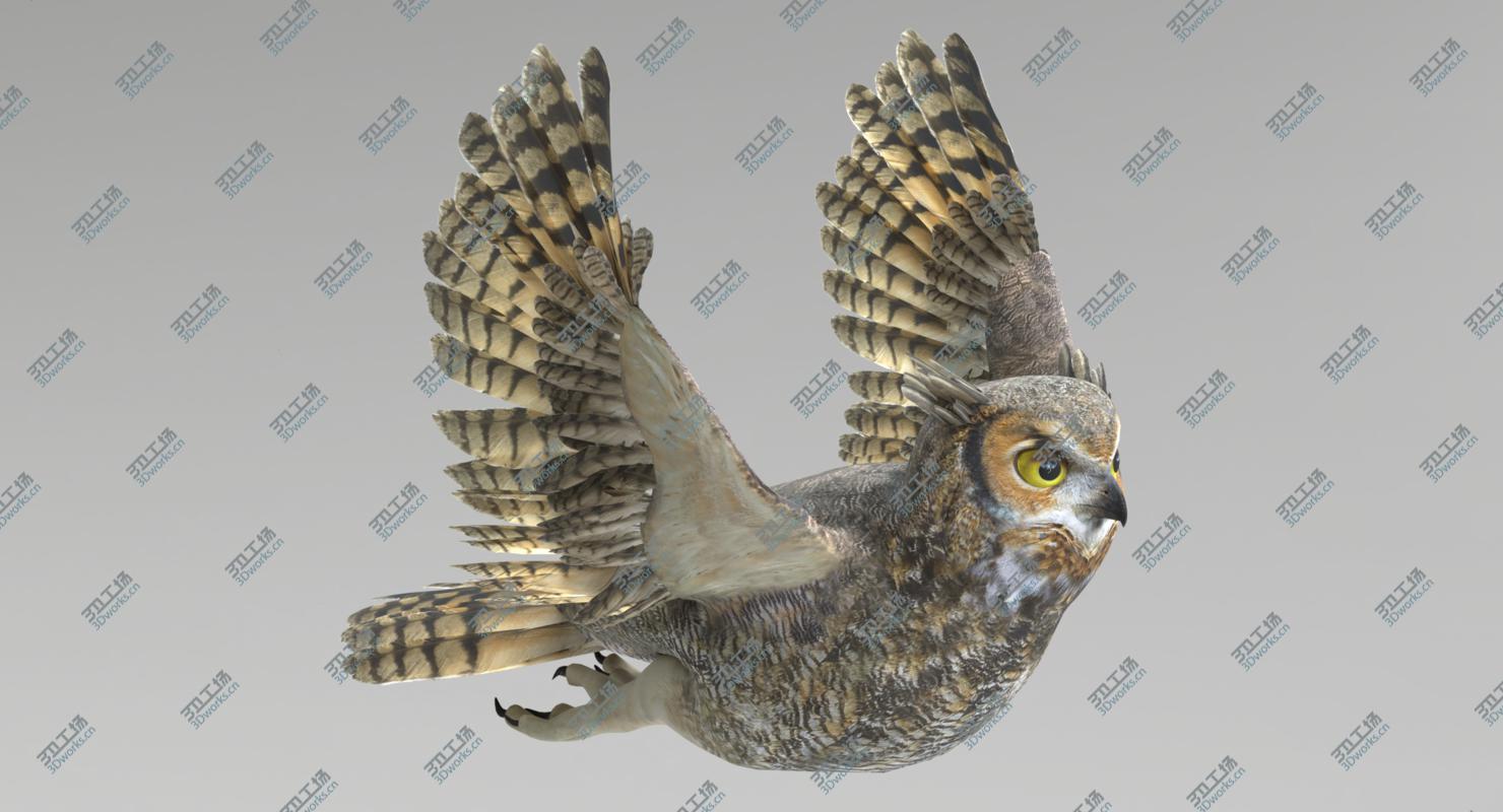 images/goods_img/20210319/3D Animated Birds Set/2.jpg